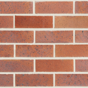 Smooth Black and Tan