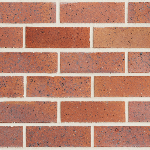 Smooth Black and Tan