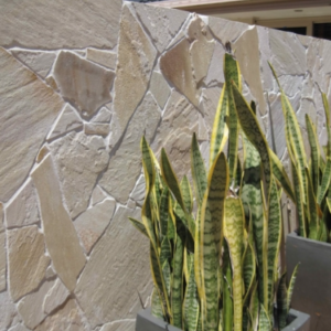Texture Stone