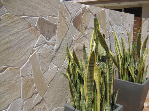 Texture Stone